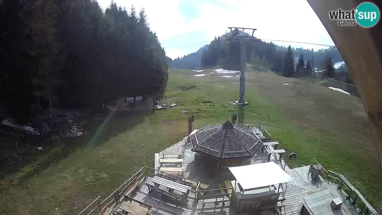 Stazione sciistica Zoncolan – Rifugio Goles