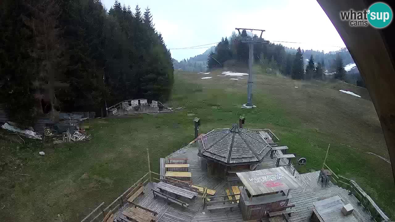 Smučišče Zoncolan – Goles