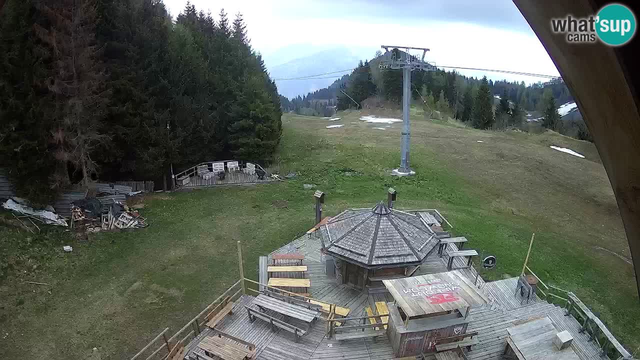 Stazione sciistica Zoncolan – Rifugio Goles