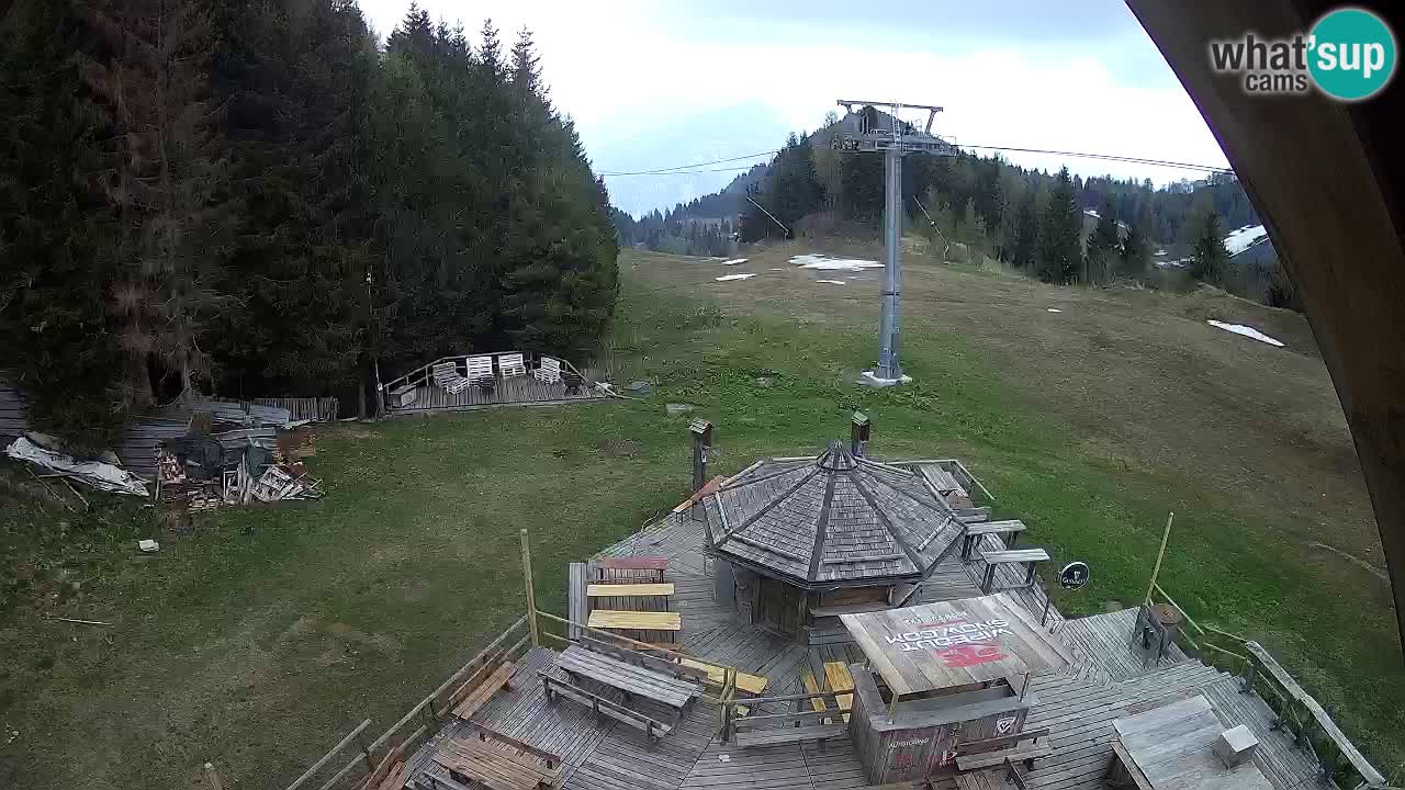 Skigebiet Zoncolan – Goles