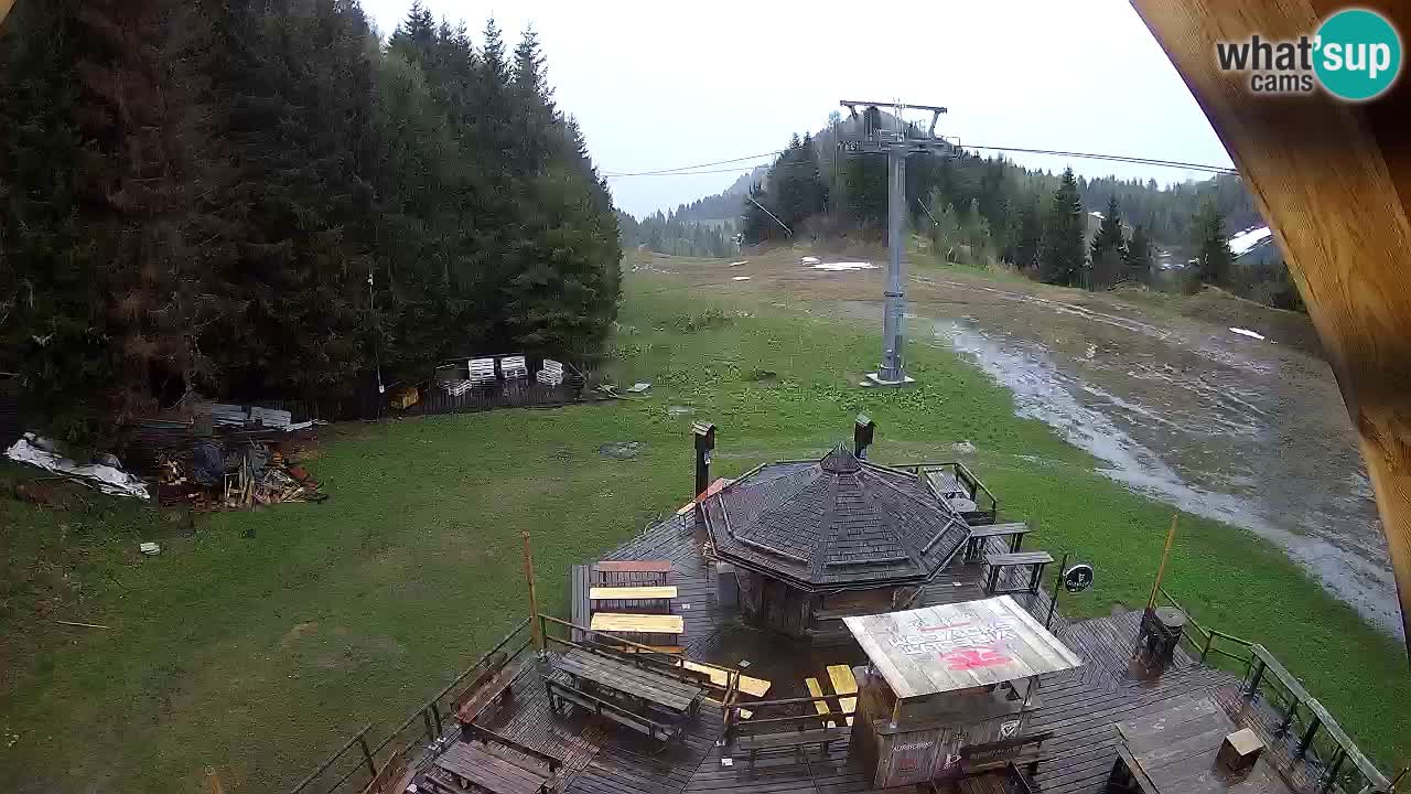 Stazione sciistica Zoncolan – Rifugio Goles