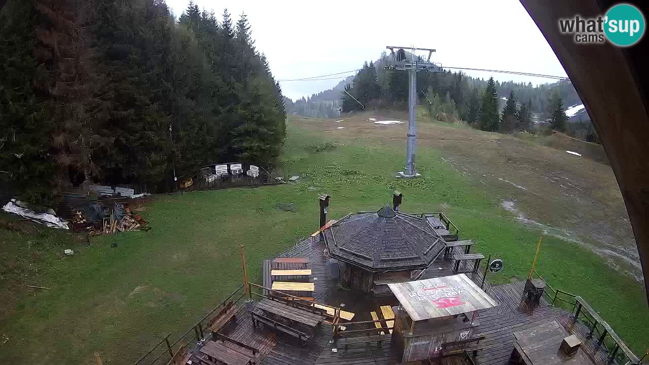 Stazione sciistica Zoncolan – Rifugio Goles
