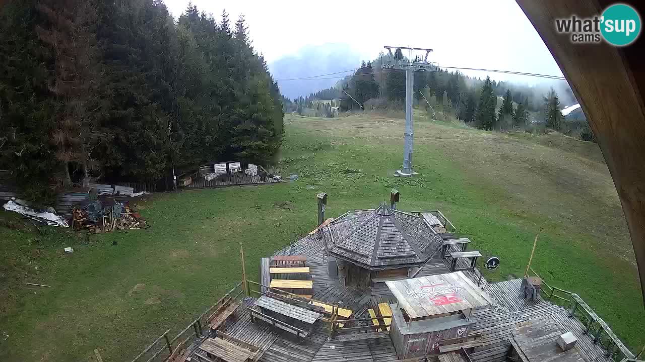 Stazione sciistica Zoncolan – Rifugio Goles