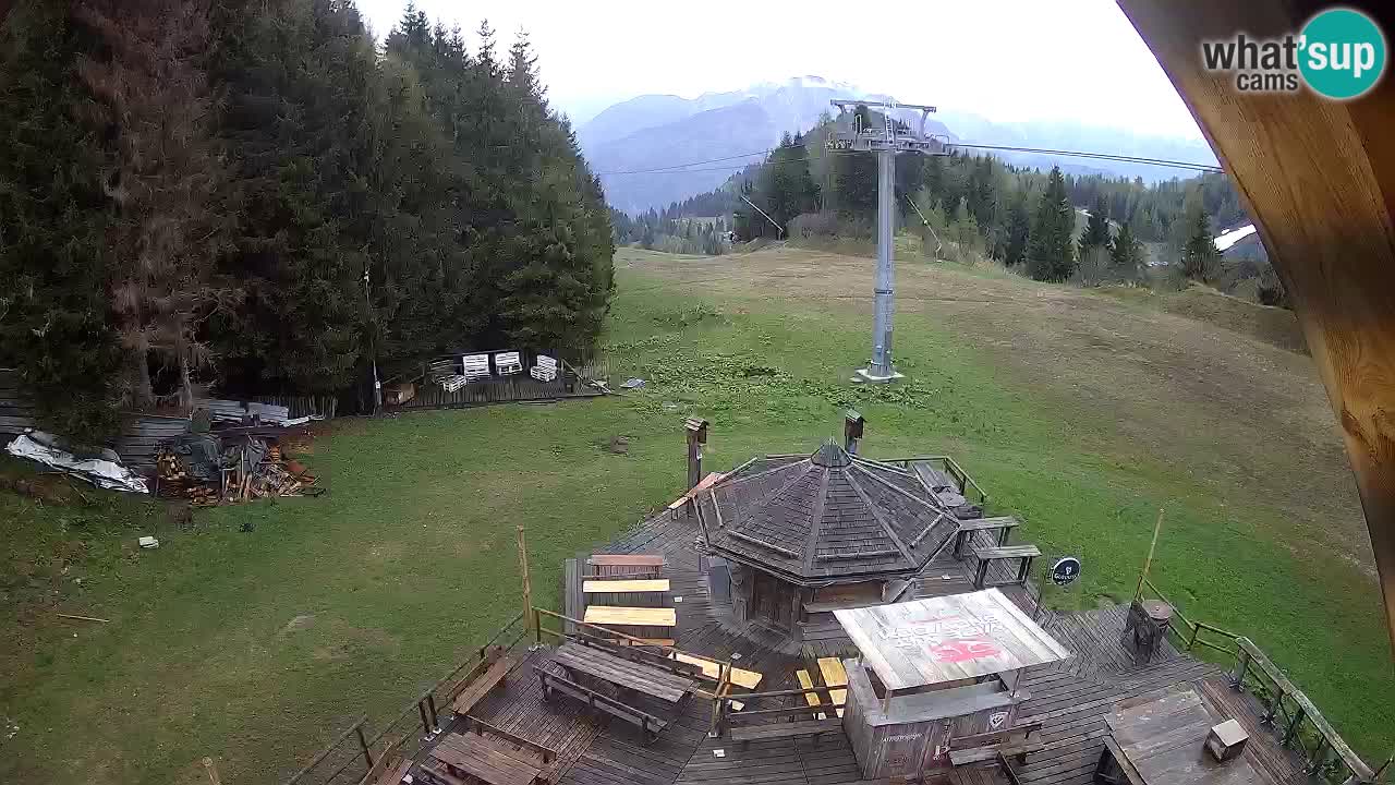 Station ski Zoncolan – Goles