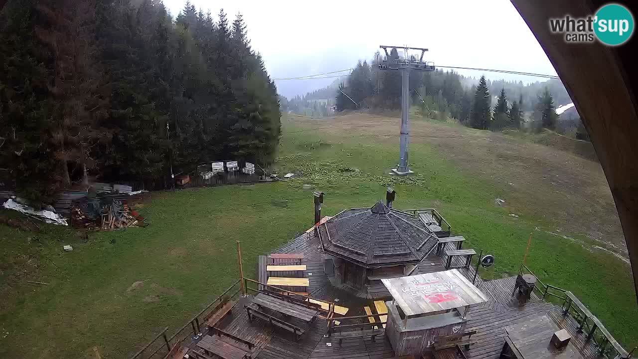 Stazione sciistica Zoncolan – Rifugio Goles
