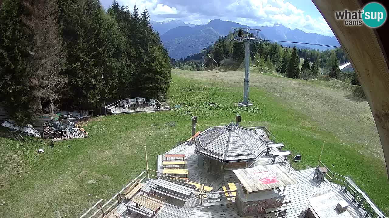 Smučišče Zoncolan – Goles