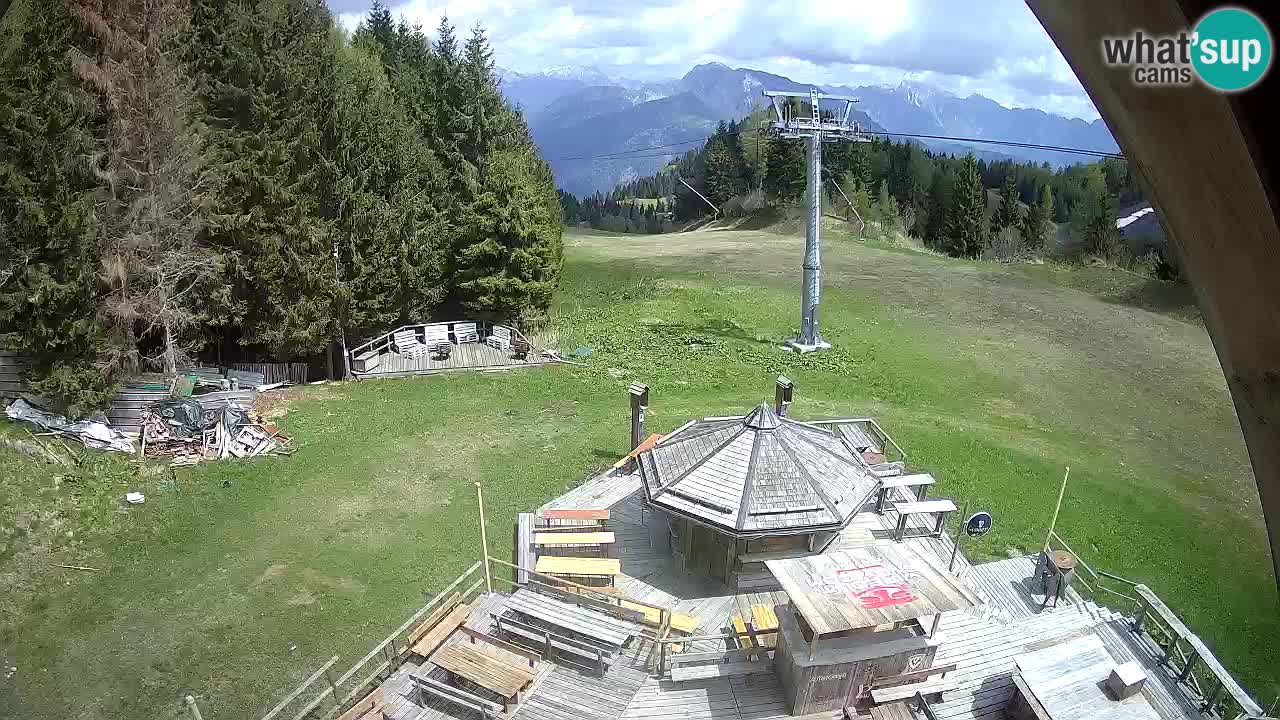 Ski resort Zoncolan mountain – Goles