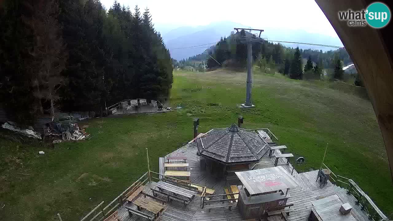 Smučišče Zoncolan – Goles