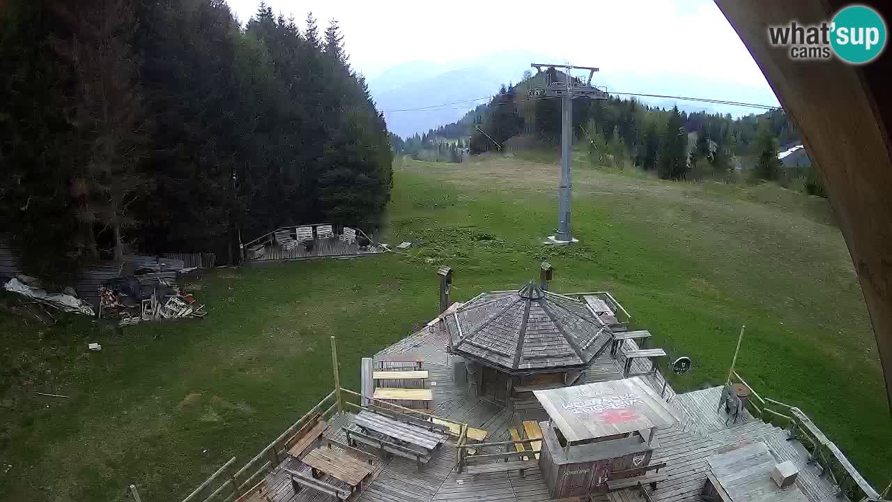 Stazione sciistica Zoncolan – Rifugio Goles