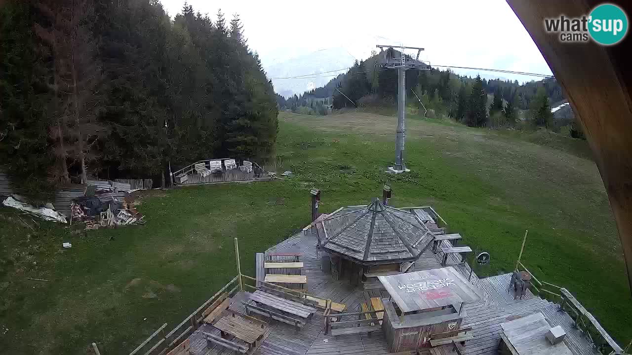Stazione sciistica Zoncolan – Rifugio Goles