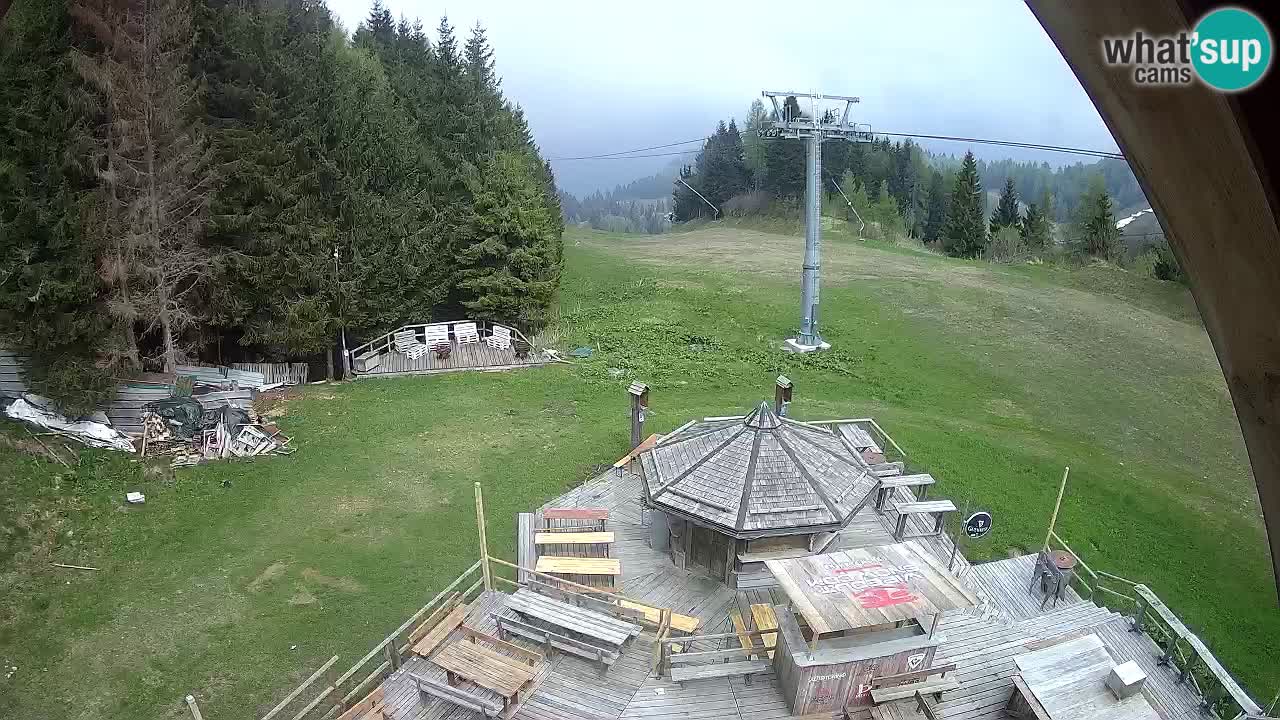Stazione sciistica Zoncolan – Rifugio Goles