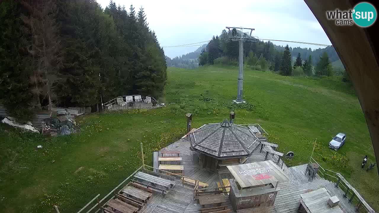 Station ski Zoncolan – Goles
