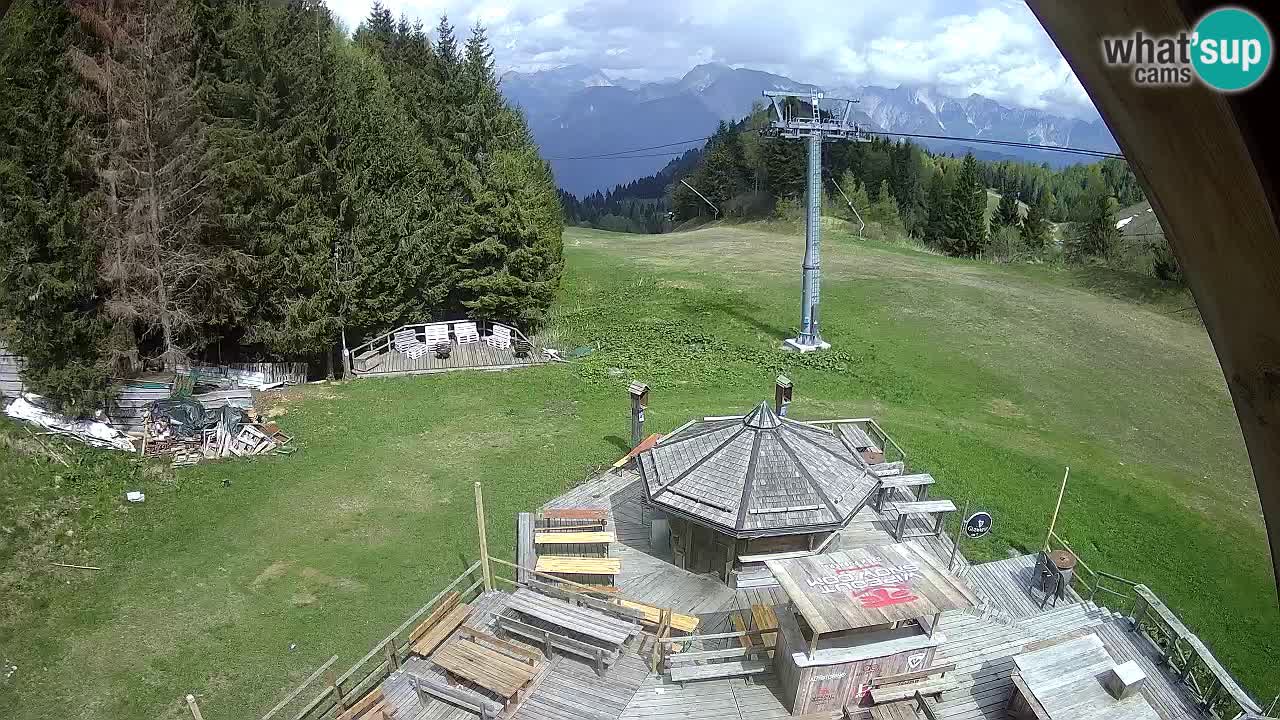 Station ski Zoncolan – Goles