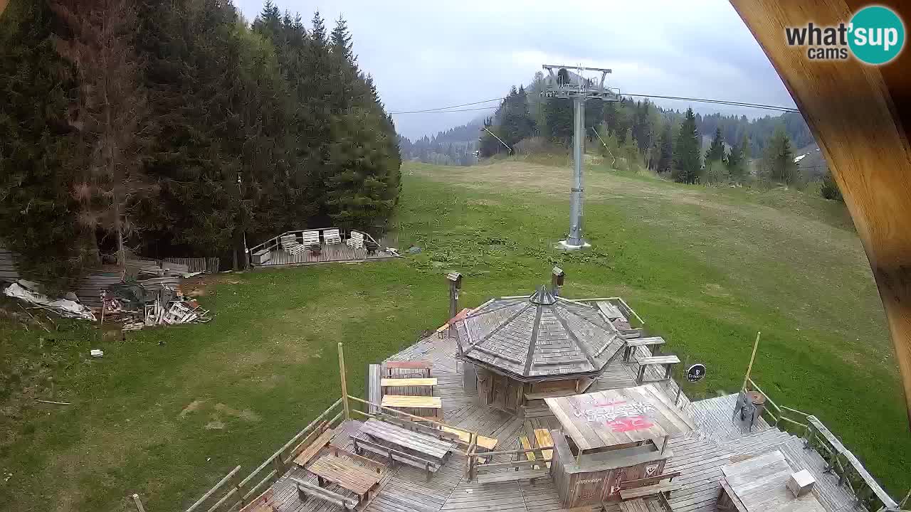 Ski resort Zoncolan mountain – Goles