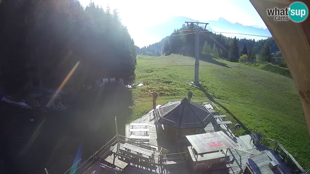 Ski resort Zoncolan mountain – Goles