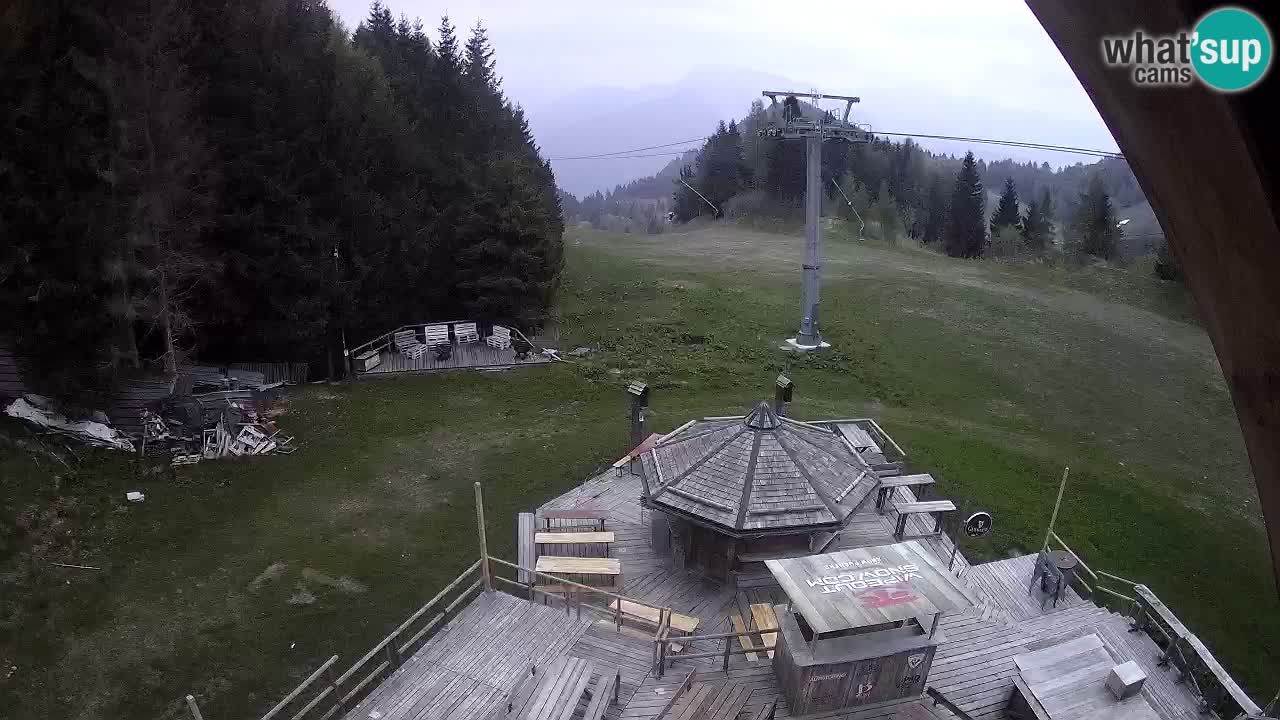 Station ski Zoncolan – Goles