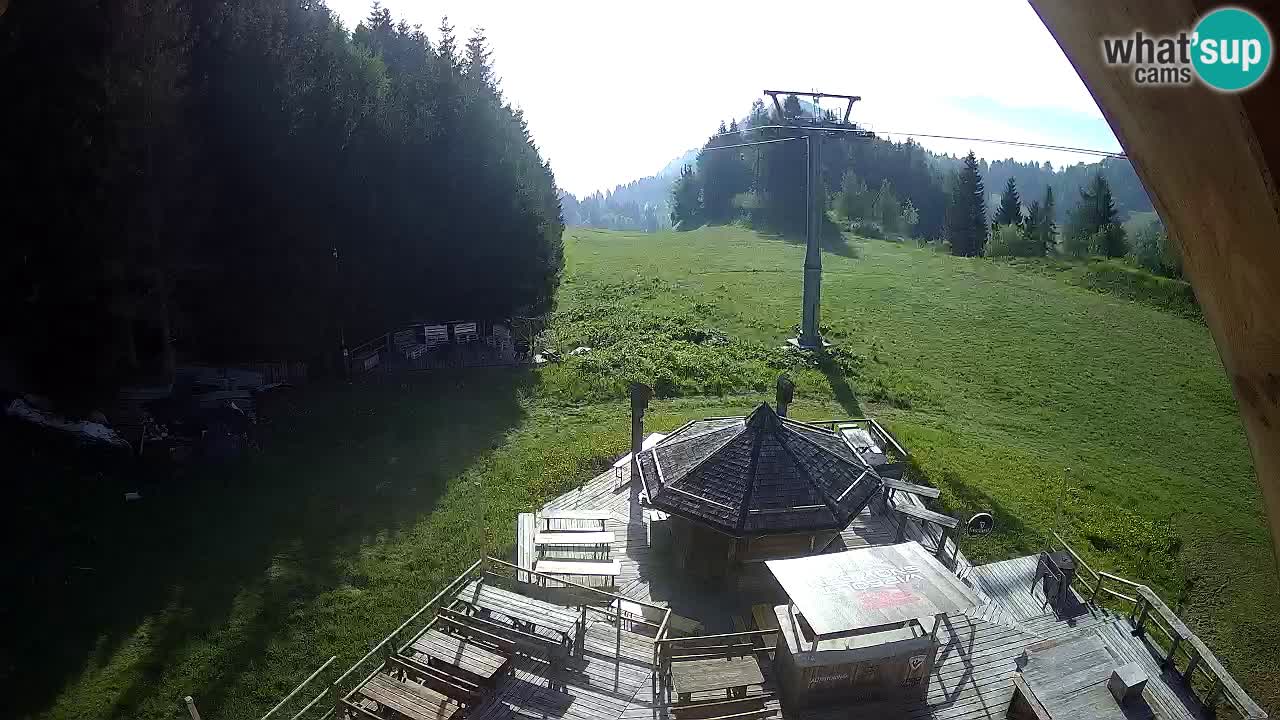 Ski resort Zoncolan mountain – Goles