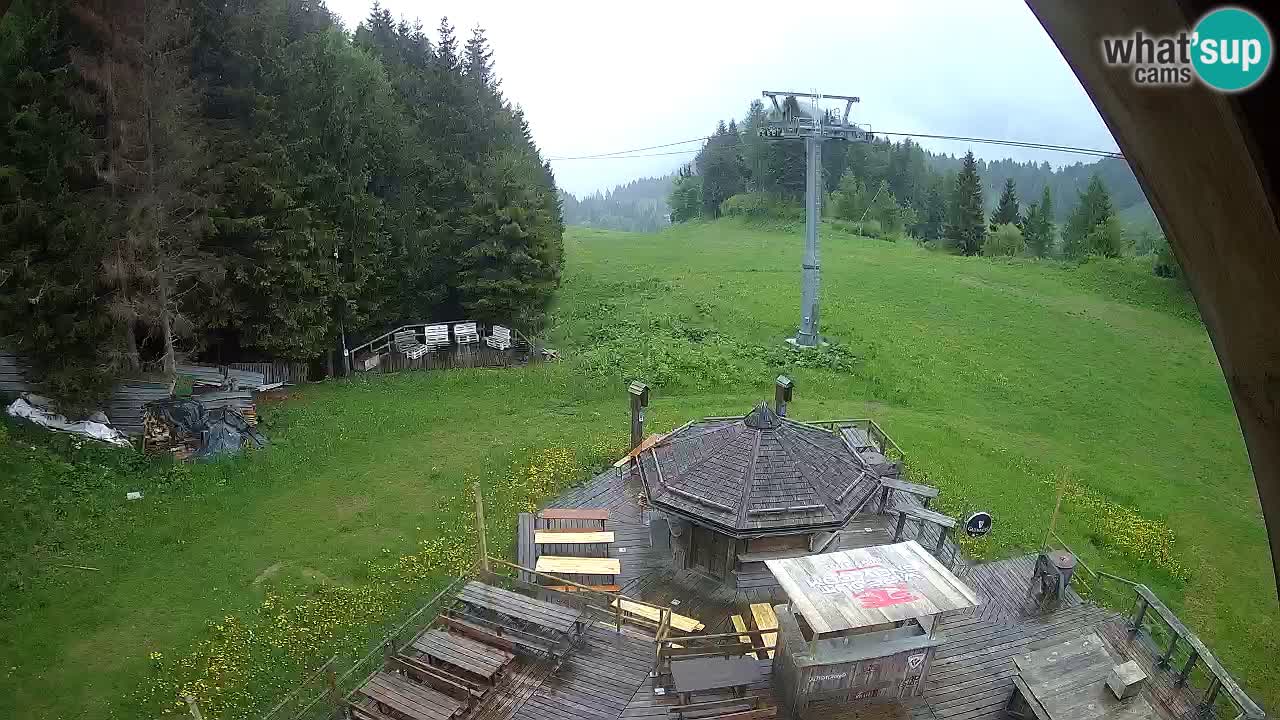 Ski resort Zoncolan mountain – Goles