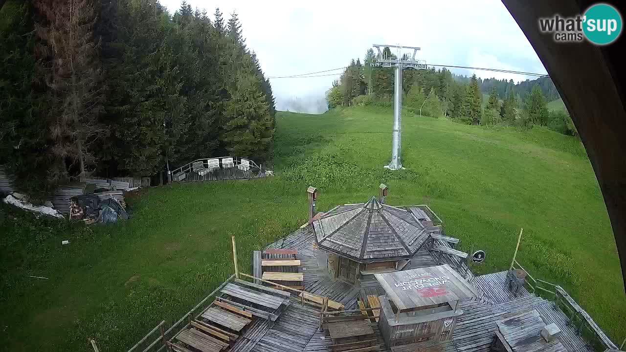 Stazione sciistica Zoncolan – Rifugio Goles