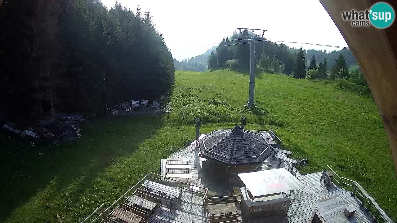 Ski resort Zoncolan mountain – Goles
