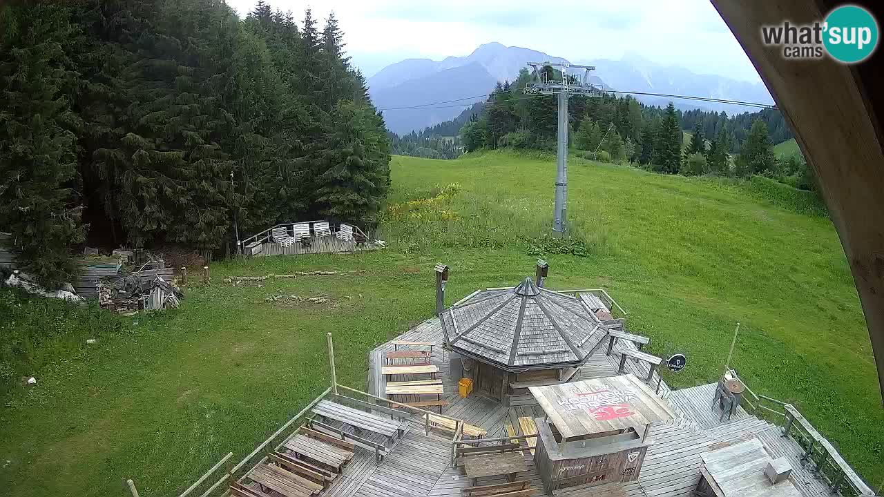 Stazione sciistica Zoncolan – Rifugio Goles