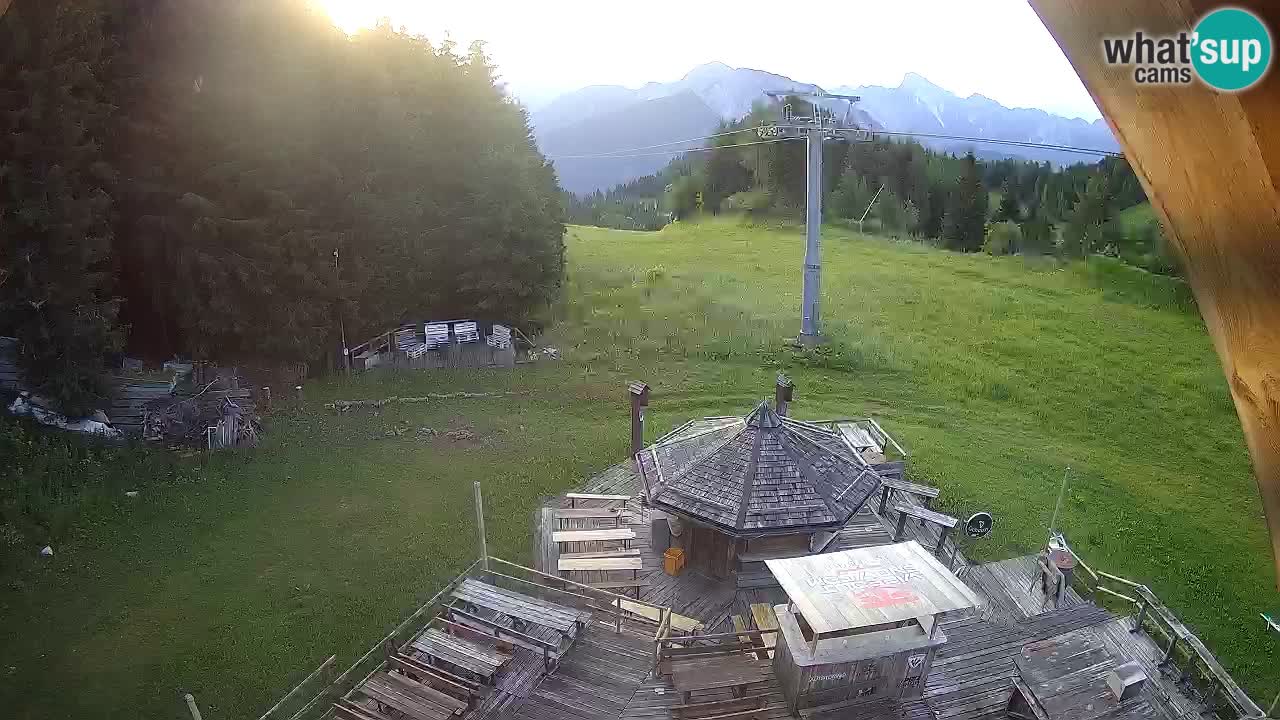 Stazione sciistica Zoncolan – Rifugio Goles