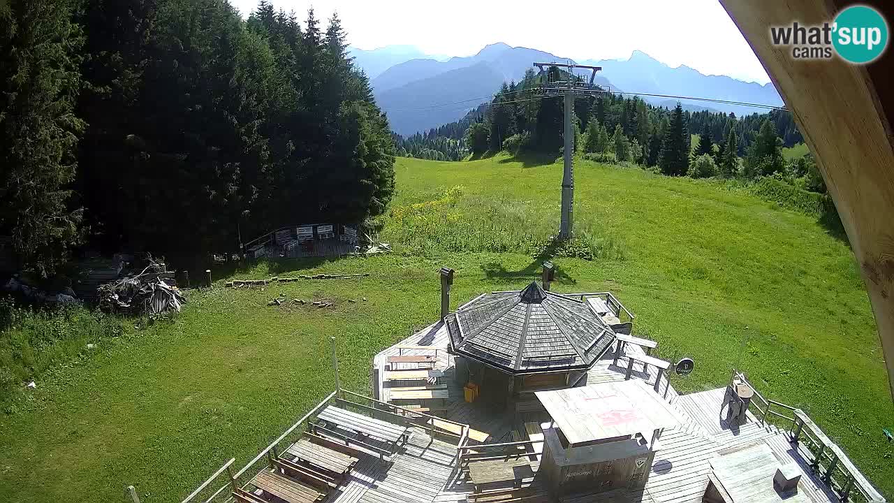 Smučišče Zoncolan – Goles