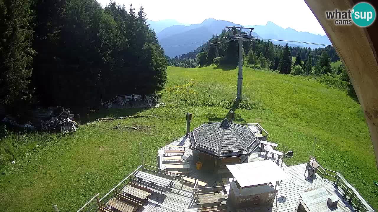 Smučišče Zoncolan – Goles
