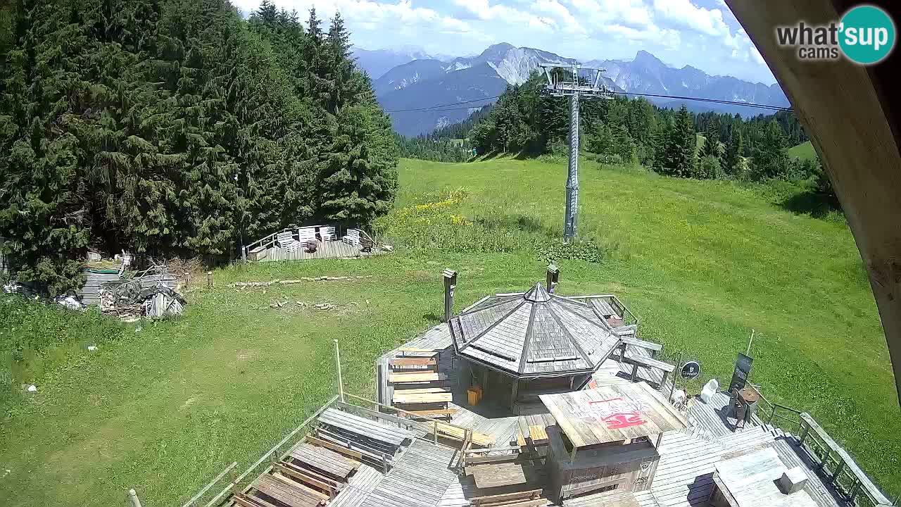 Stazione sciistica Zoncolan – Rifugio Goles