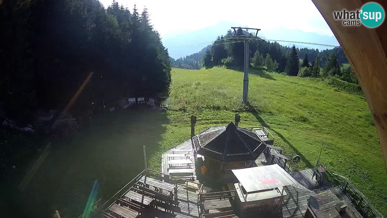 Ski resort Zoncolan mountain – Goles