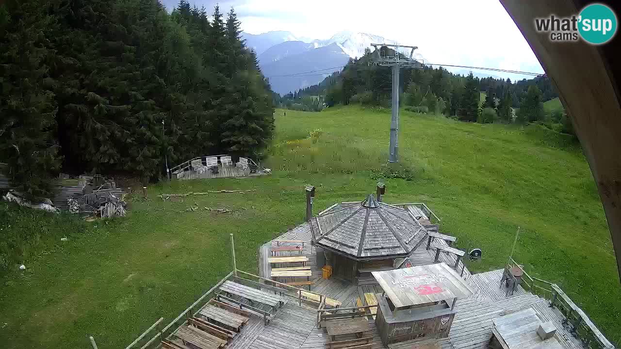 Smučišče Zoncolan – Goles