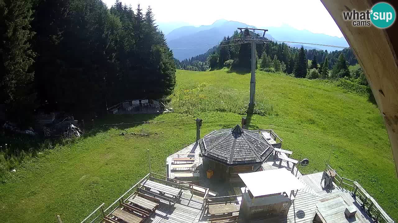 Smučišče Zoncolan – Goles