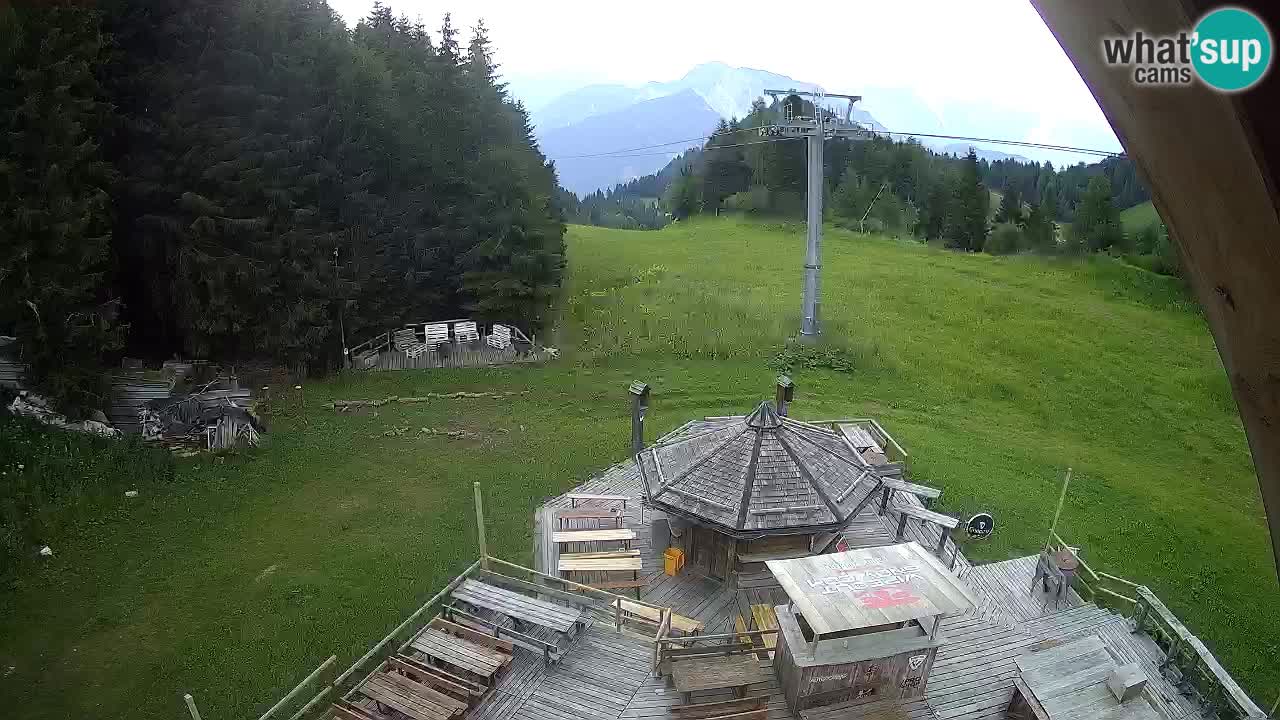 Stazione sciistica Zoncolan – Rifugio Goles