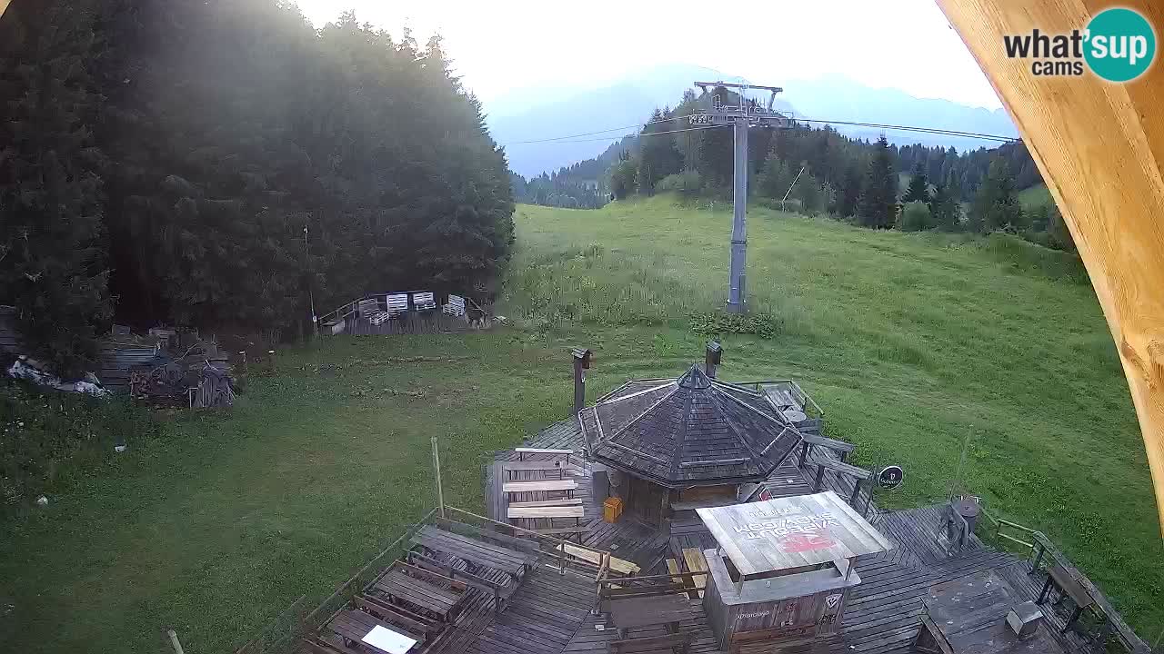 Stazione sciistica Zoncolan – Rifugio Goles