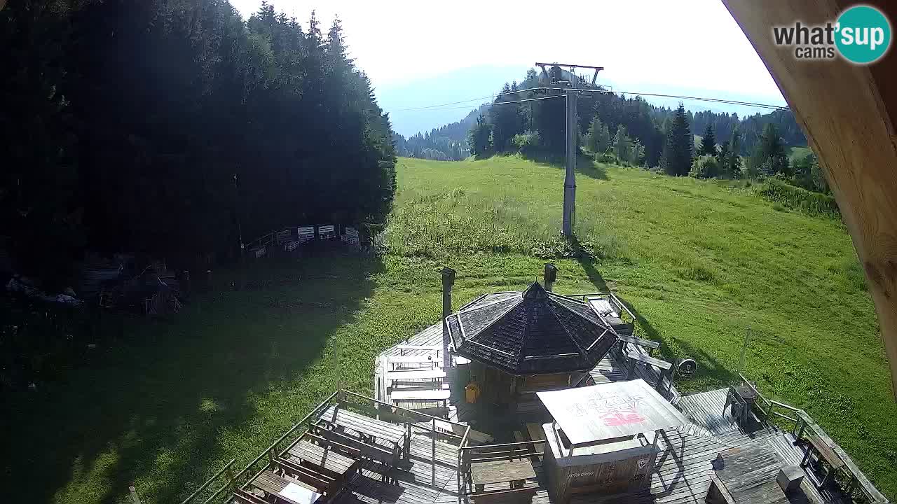 Smučišče Zoncolan – Goles
