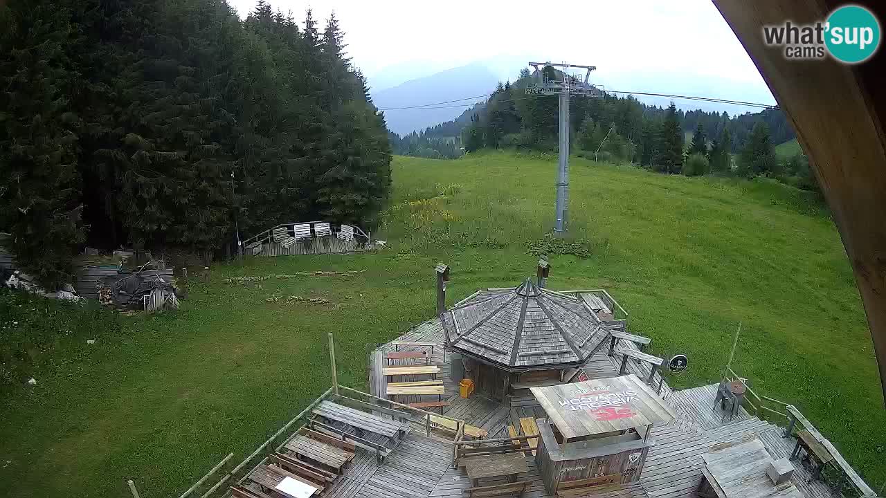 Smučišče Zoncolan – Goles