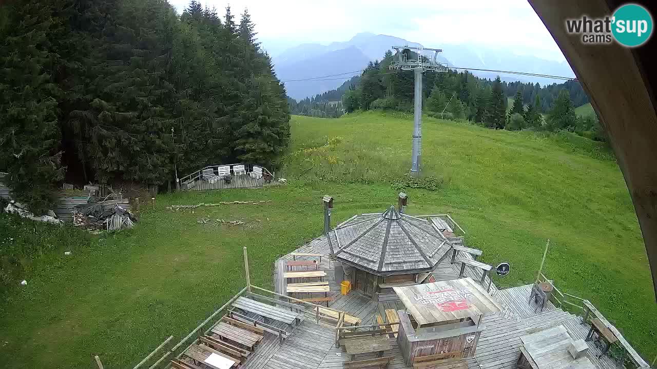 Station ski Zoncolan – Goles
