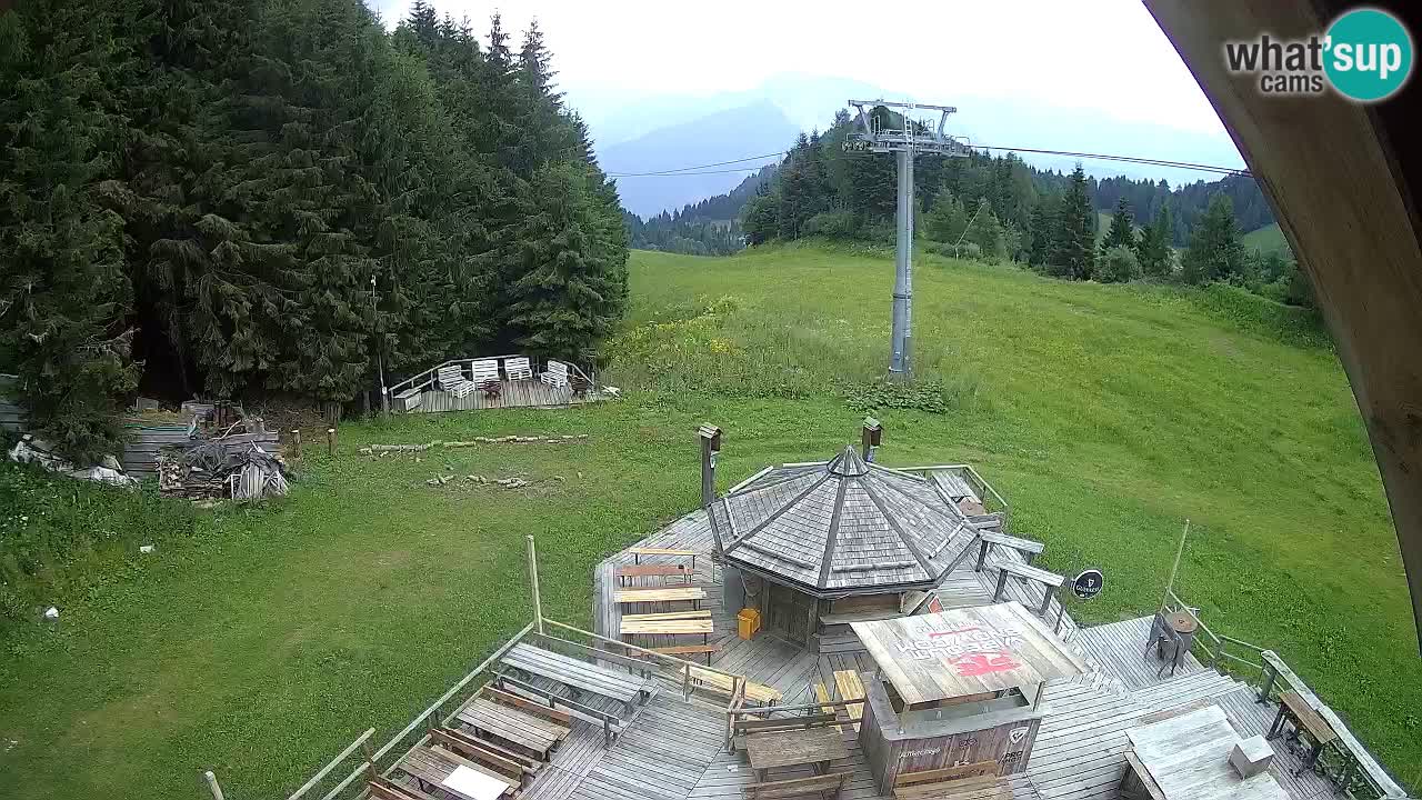 Station ski Zoncolan – Goles