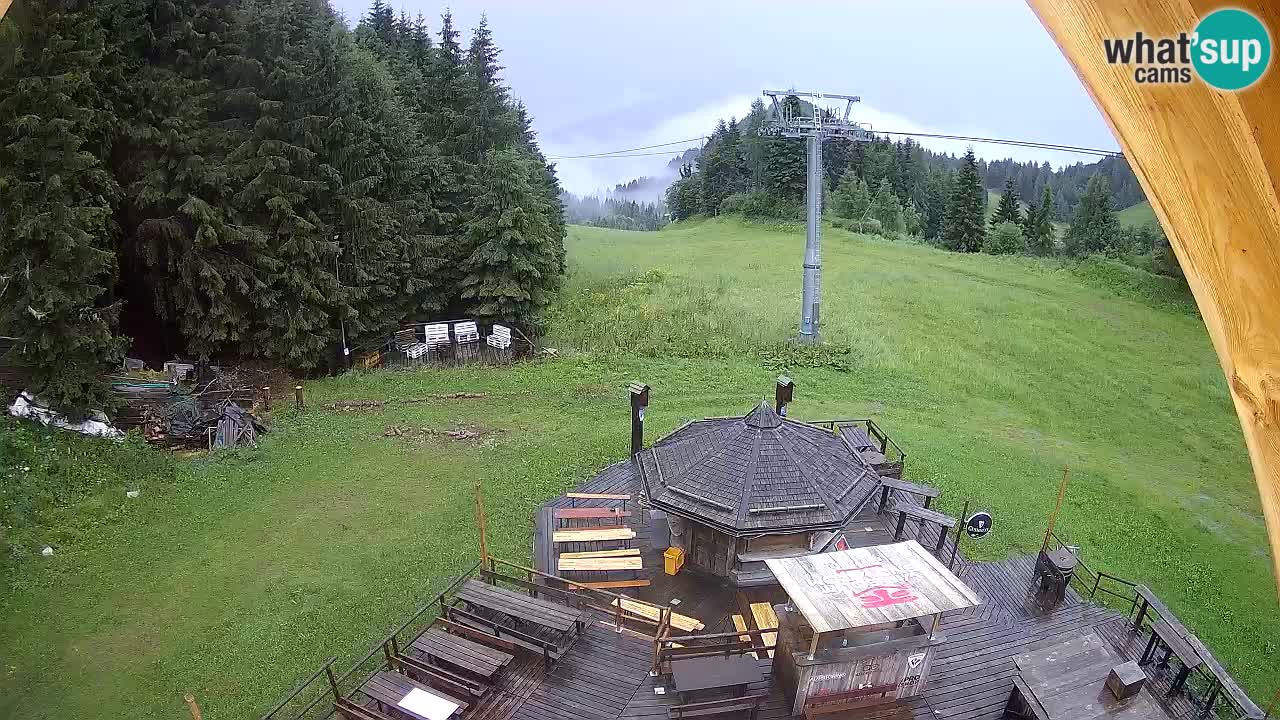 Smučišče Zoncolan – Goles