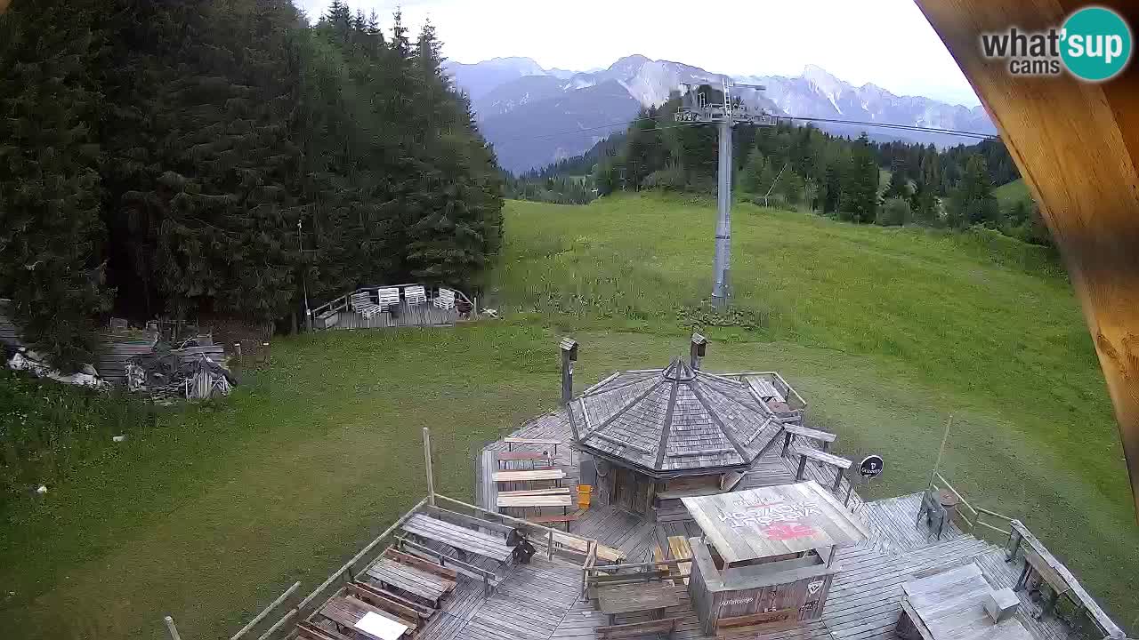 Ski resort Zoncolan mountain – Goles