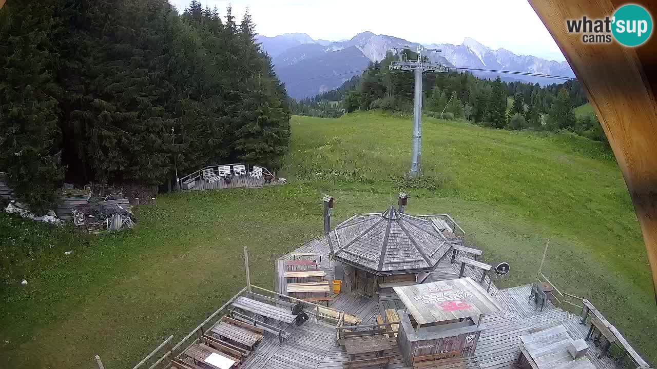 Smučišče Zoncolan – Goles