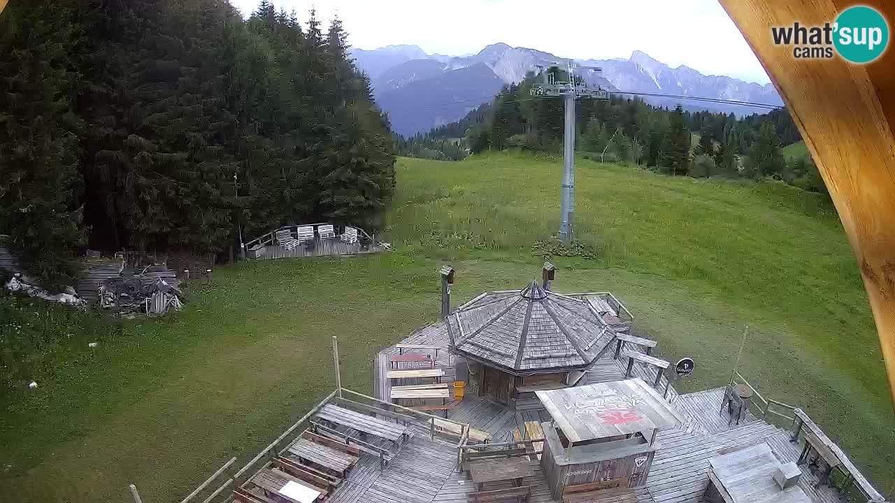 Estacion esqui Zoncolan – Goles