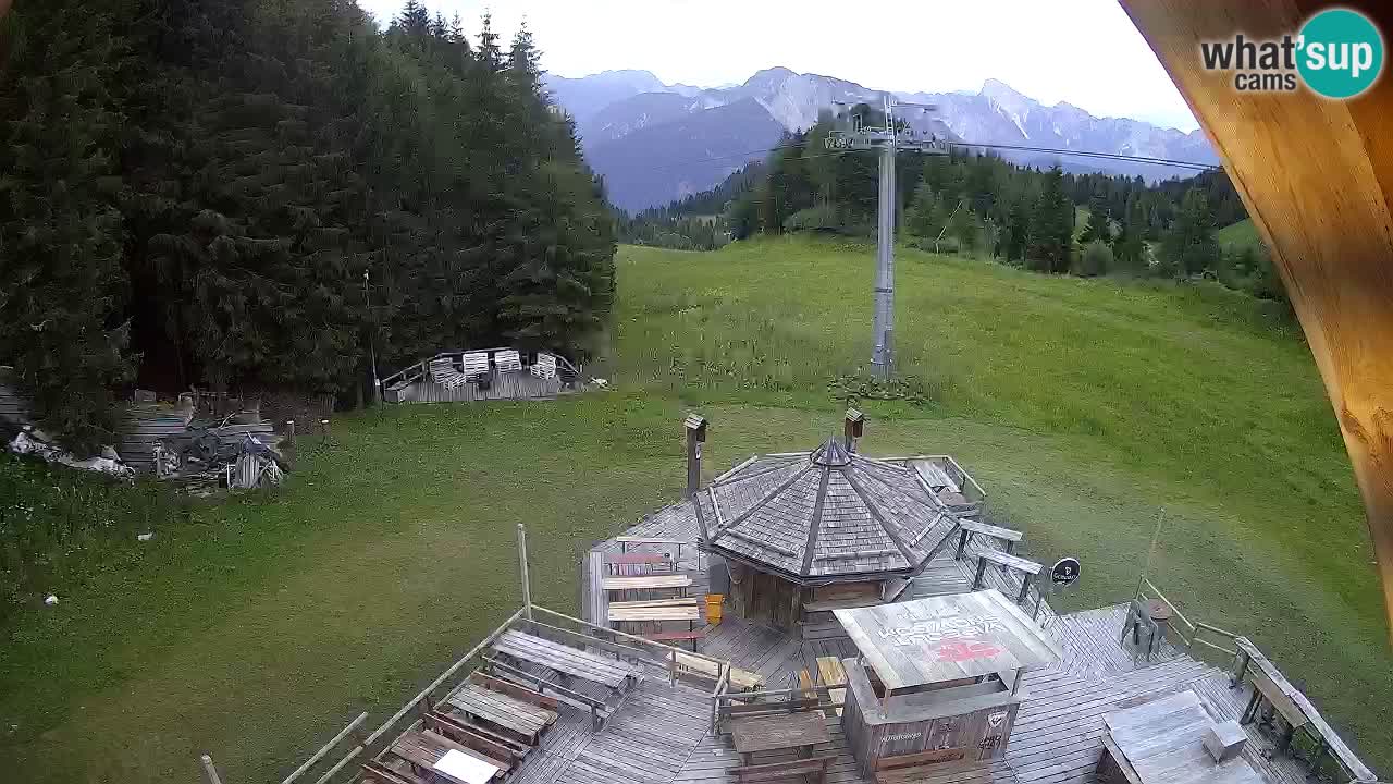 Station ski Zoncolan – Goles