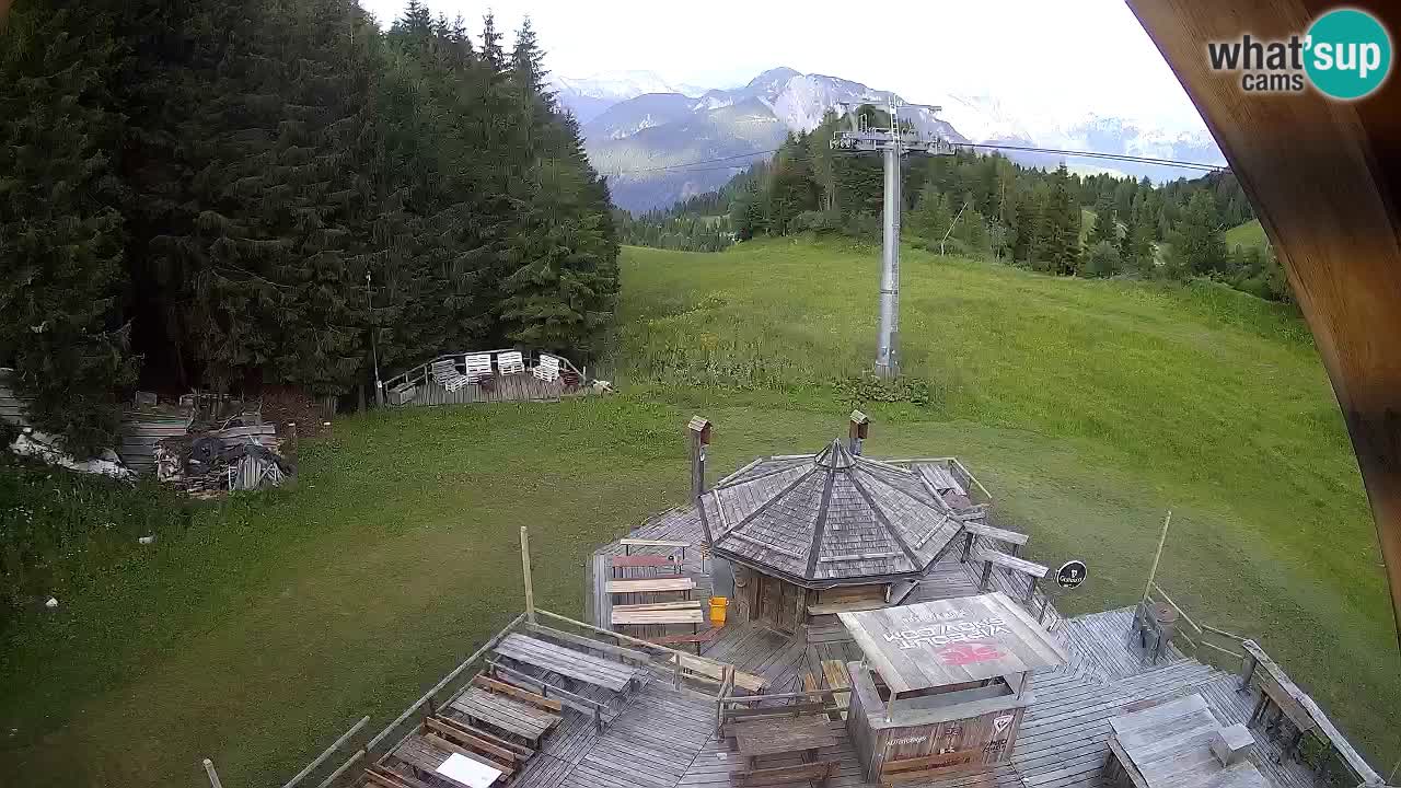 Stazione sciistica Zoncolan – Rifugio Goles