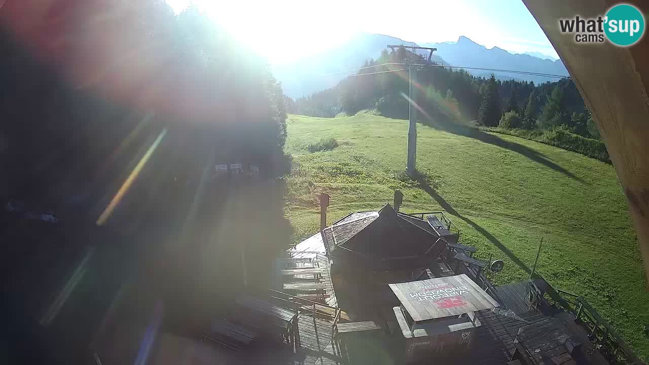Ski resort Zoncolan mountain – Goles