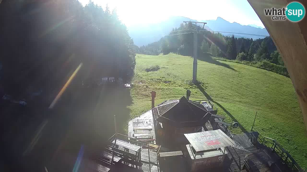 Ski resort Zoncolan mountain – Goles