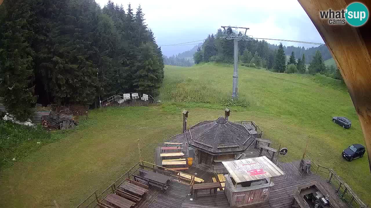 Stazione sciistica Zoncolan – Rifugio Goles