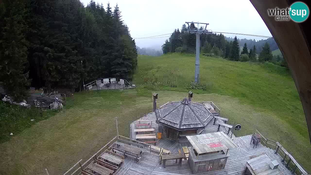 Stazione sciistica Zoncolan – Rifugio Goles