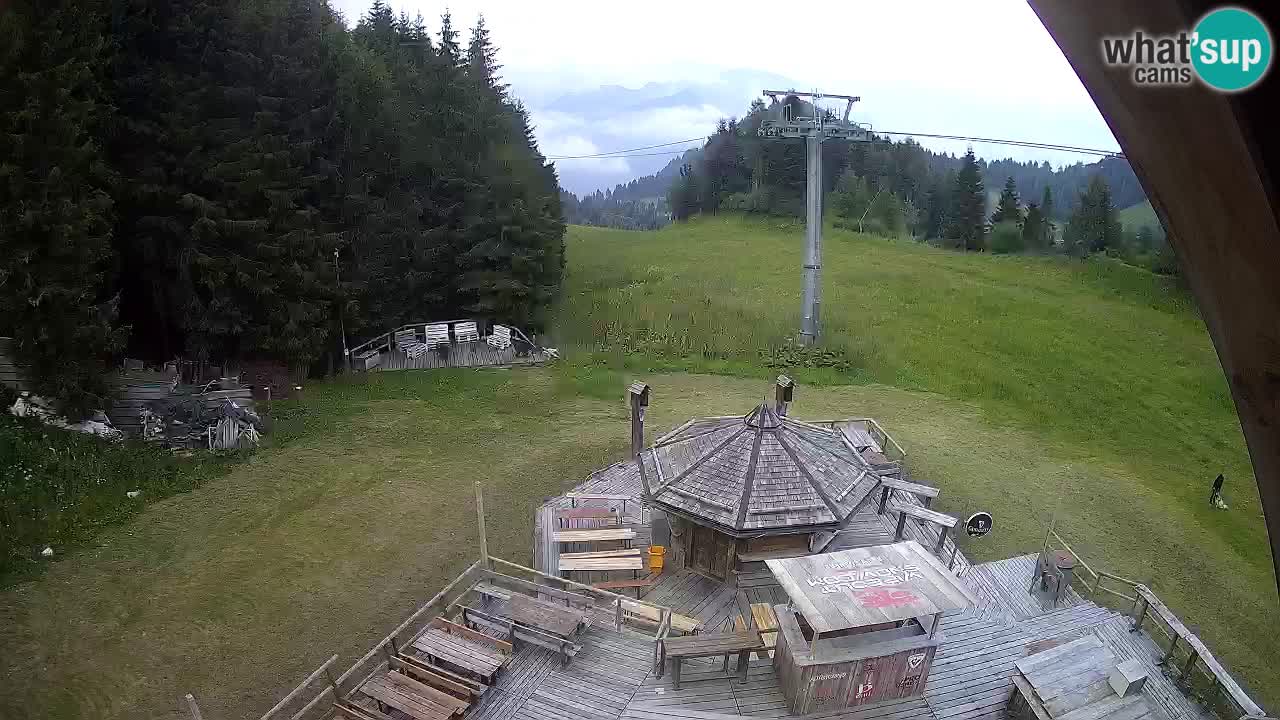 Ski resort Zoncolan mountain – Goles