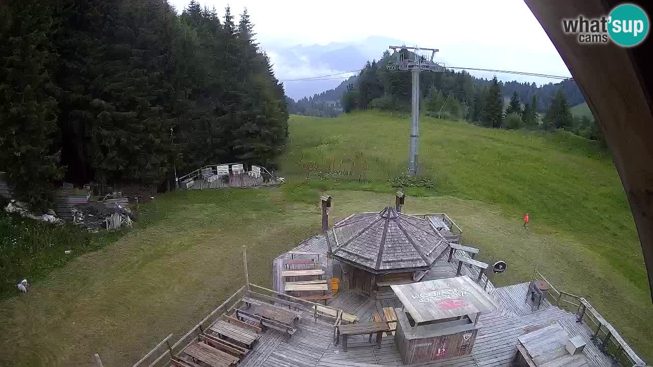 Estacion esqui Zoncolan – Goles